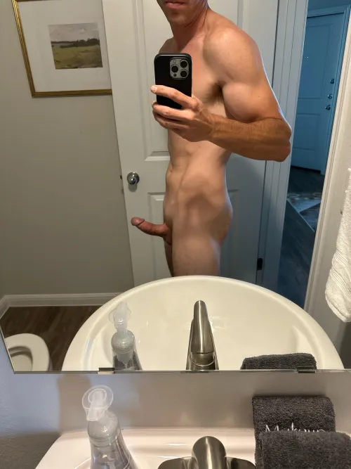 Buda Bull Daytime Fun