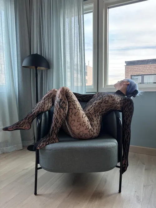 Classy bodystockings