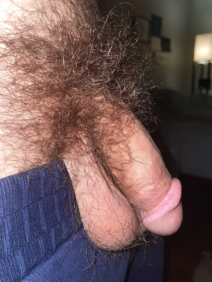 Convince me not to trim 