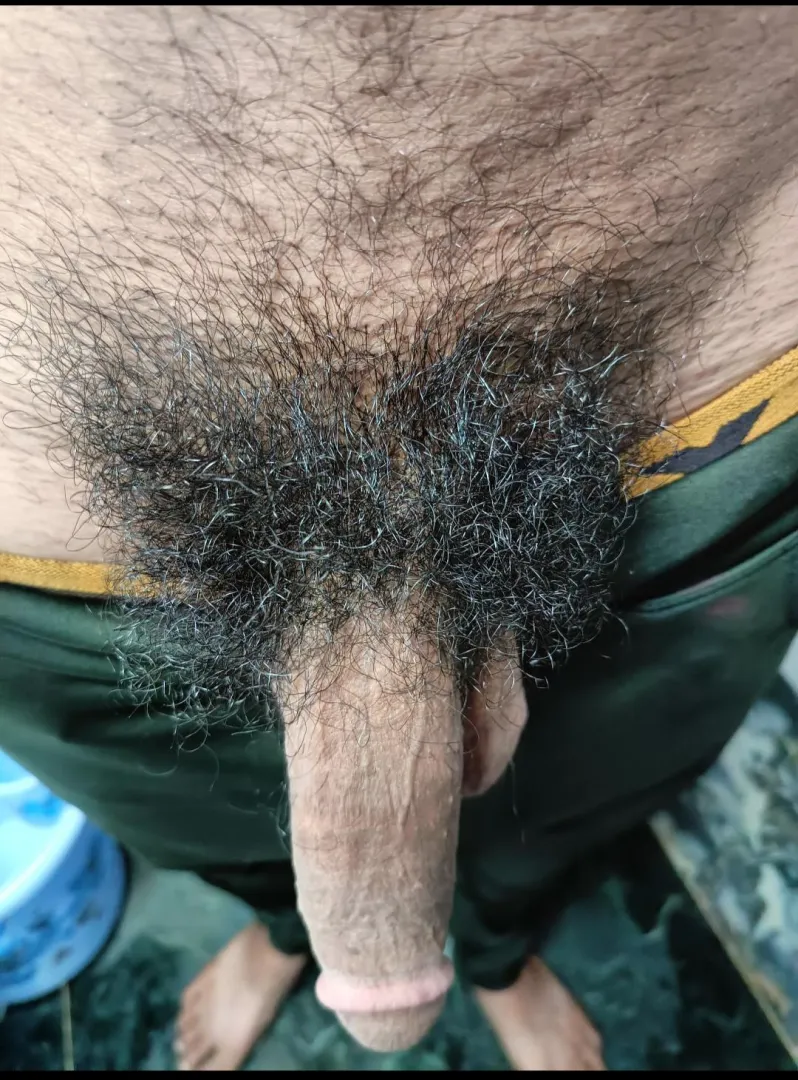 Do you like my hairy cock