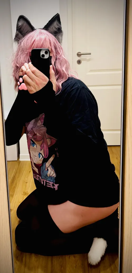 Hat jemand einen Catboy bestellt? 