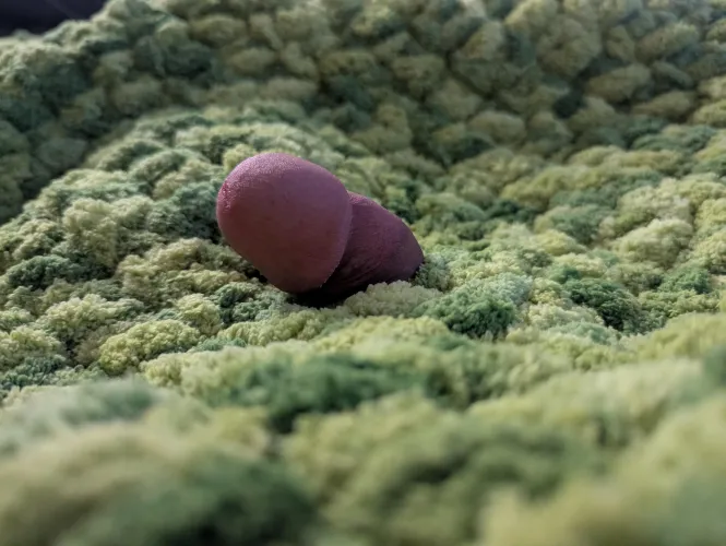 Just a worm in a field of moss