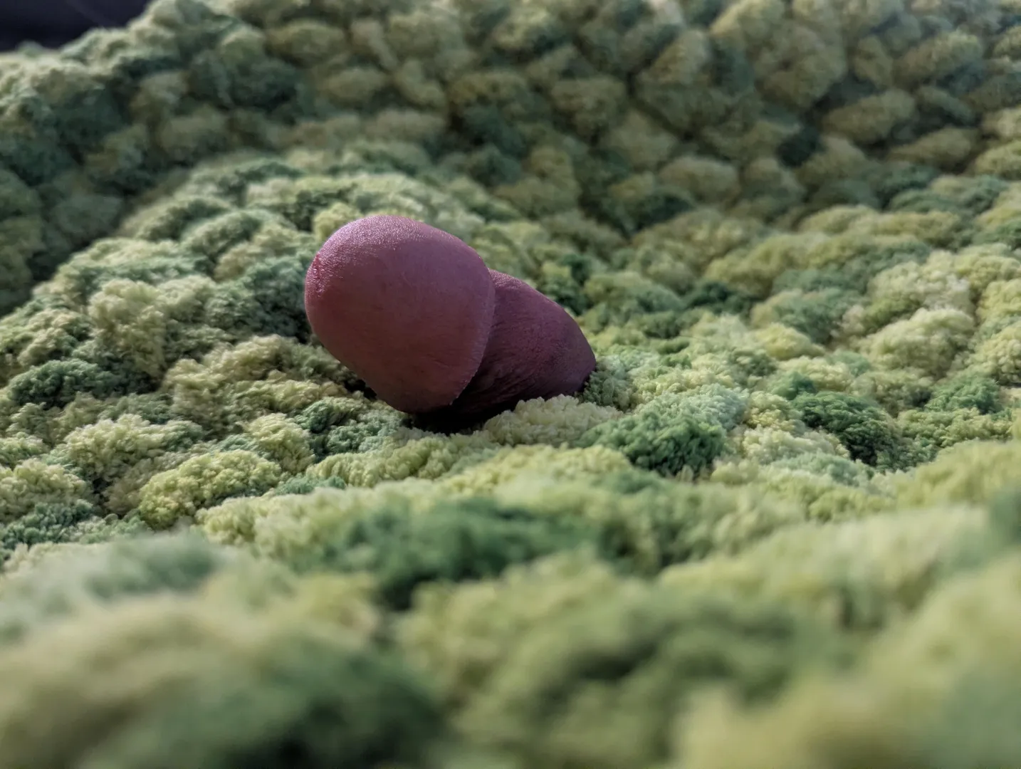 Just a worm in a field of moss