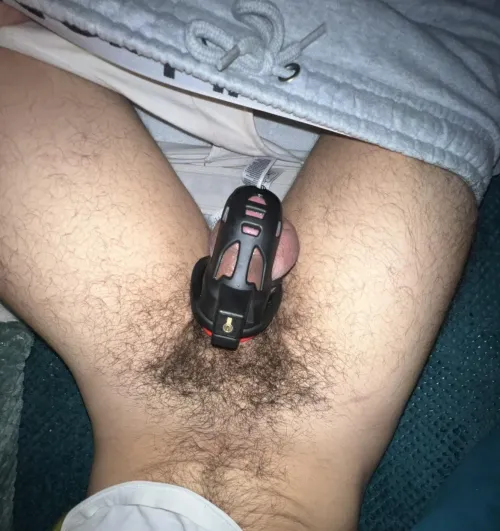 New to being a caged