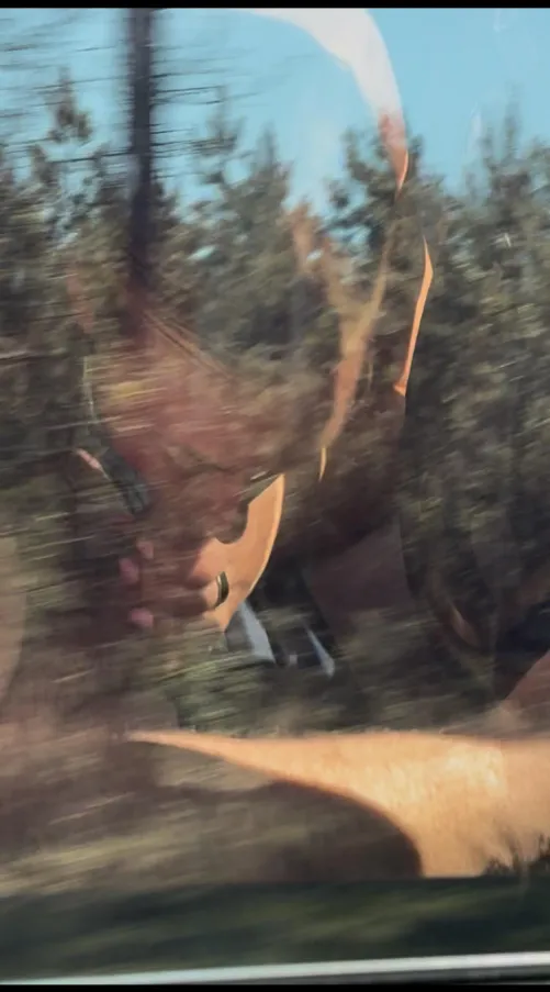 We Made the Best of the Long Drive 