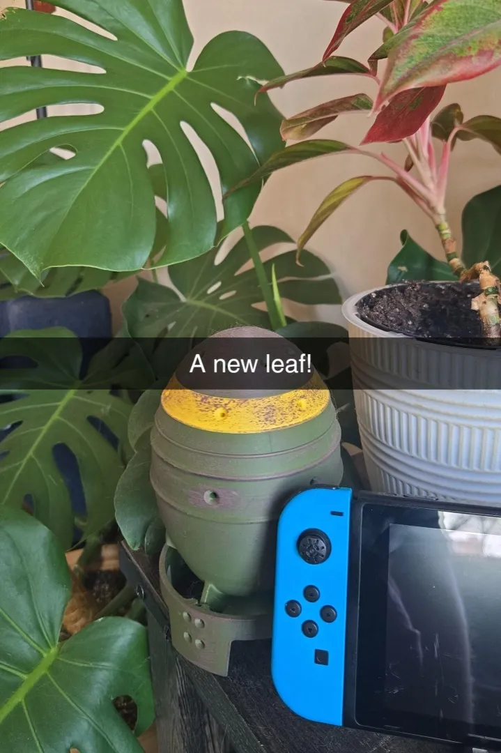 A new leaf finally emerged.