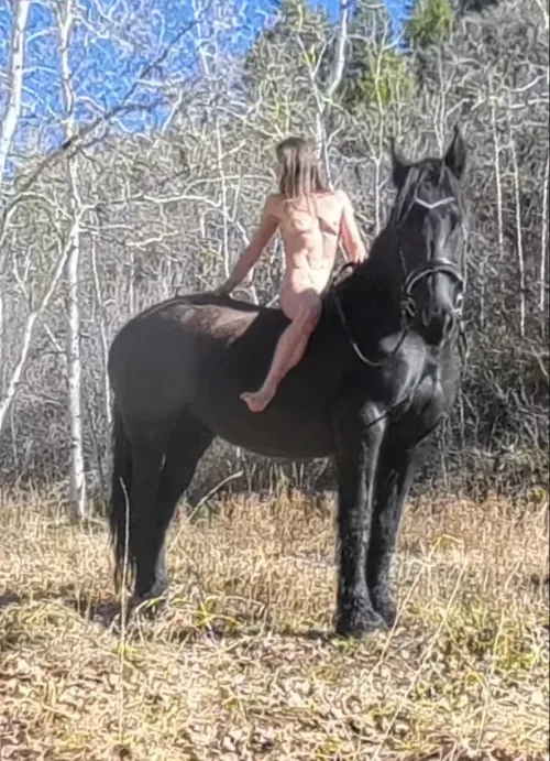 aesthetic brought to you by this noble steed