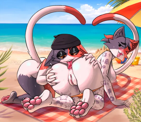 beachie kitties 2 (xlyuz) [FF]