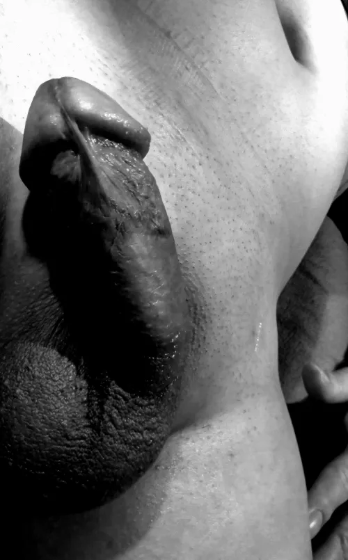 Does this make the cut 