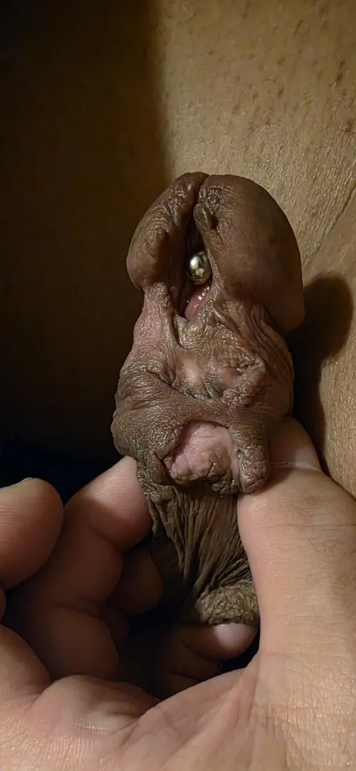 Expansion is great, but proceed with caution