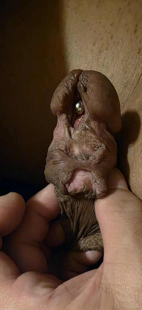 Expansion is great, but proceed with caution