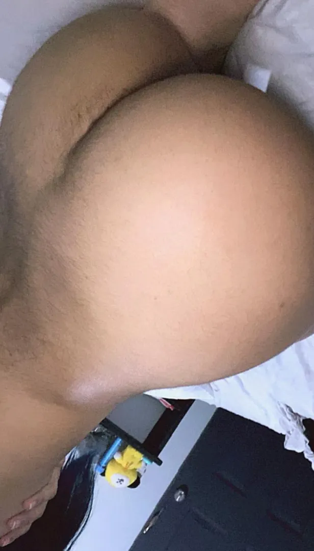 Give tasks that a puppy should do, pls dont make it too complicated or my brain cant comprehend