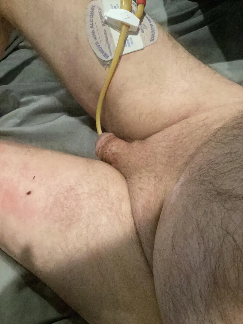 Good morning 1st day of Spring