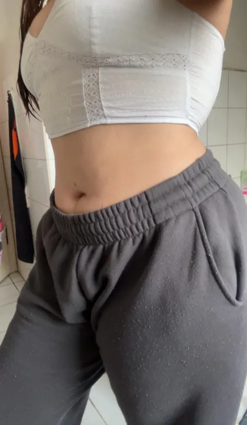 I am looking for an Feeder!