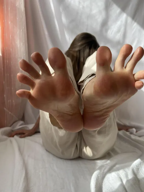 My paws rule the frame