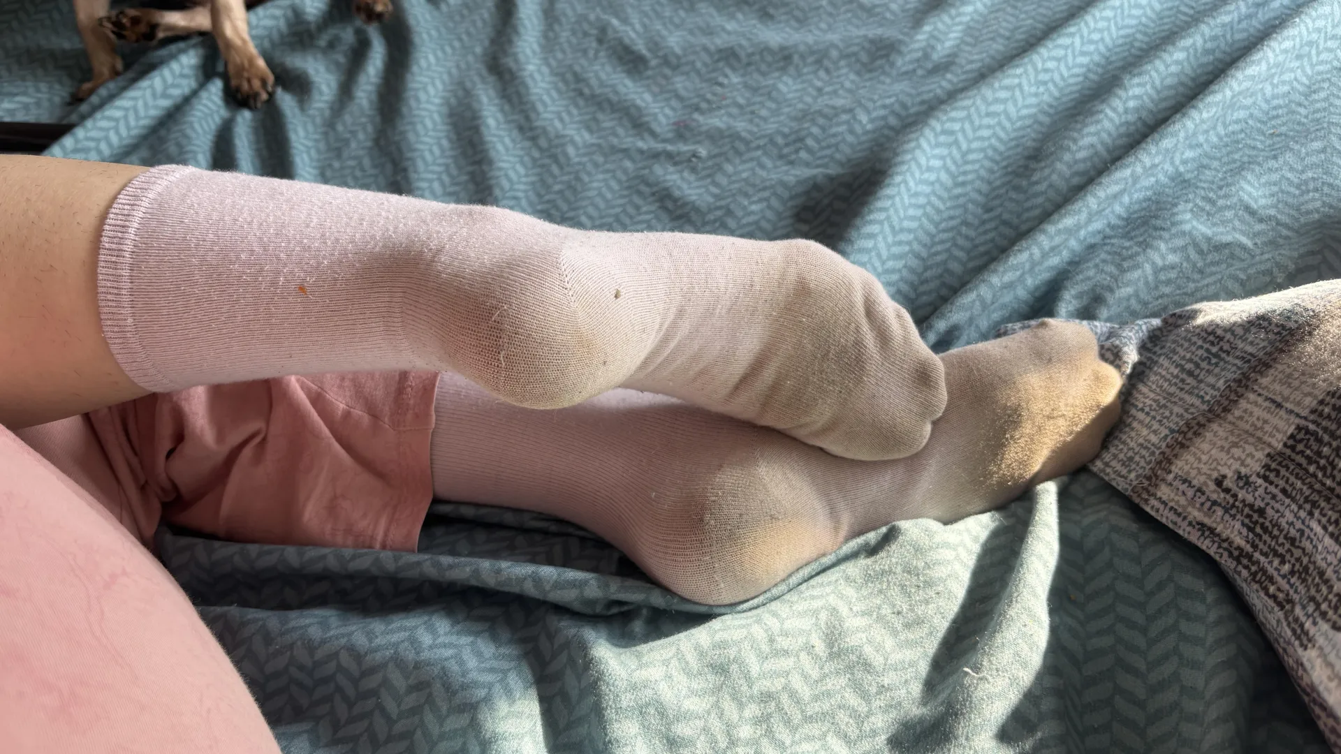 Soft, sweaty and lightly dirty soles crew socks. Let me smush your face right now while you are in your knees