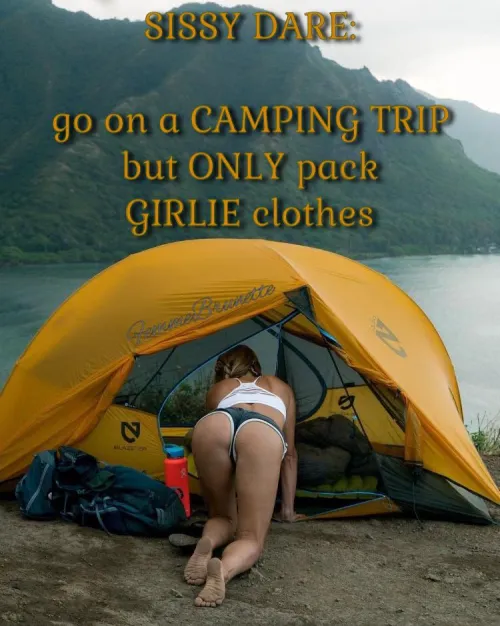 This would be so much fun!!