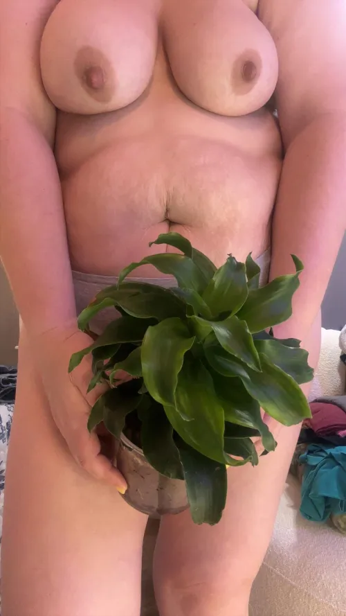 Watering day rearrange 