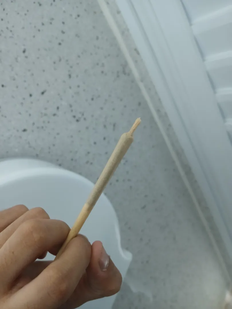 Bolando no banheiro da facul