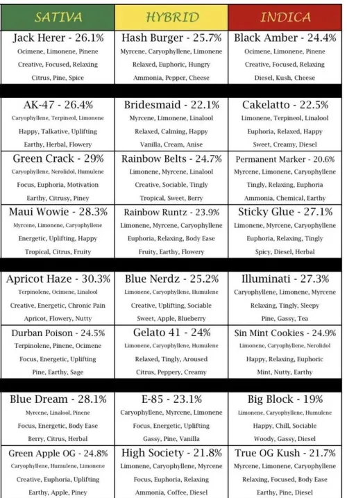 Current Menu, stock up before flower sales stop 3/31.