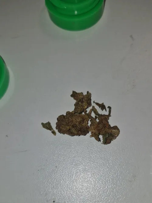 Devo procurar outro local?