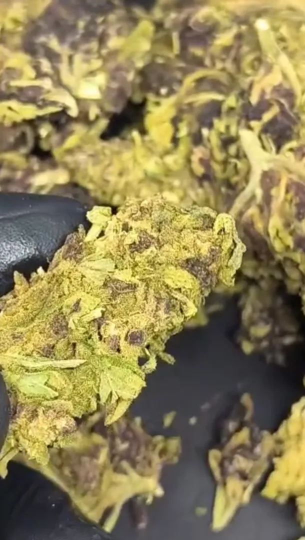 Diz ser purple haze. É da boa?