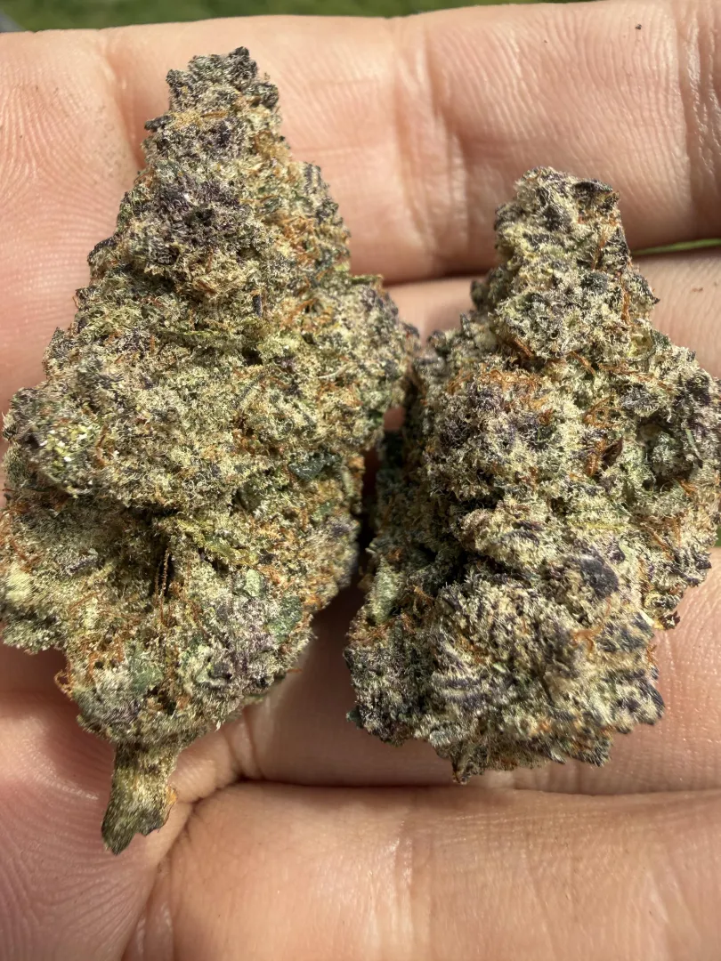 DP Blockberry for the win!