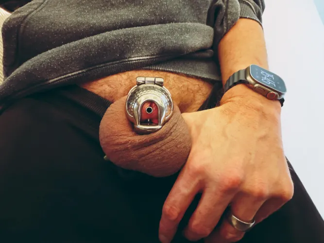 Evotion Orion with PA fixing