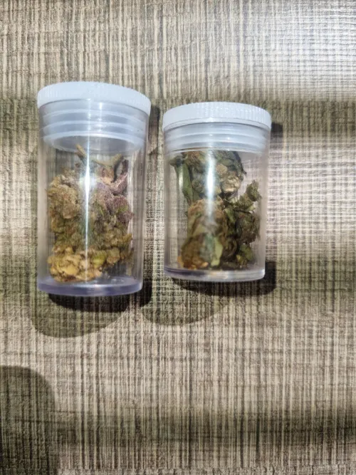 Flor de 30$ e flor de 15$