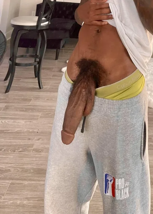 I pull out like this in front of you, what you gonna do?