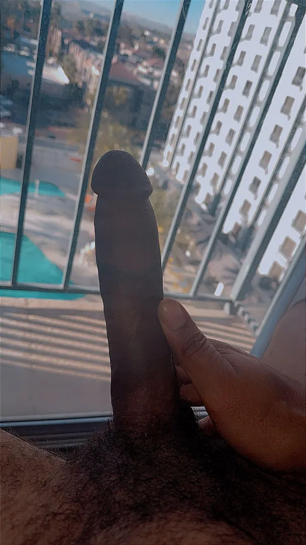 I went to the pool and checked … you can see right through these windows