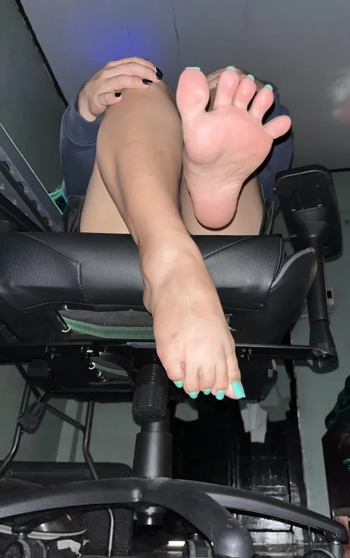 Just lounging, try not to feel too small under my feet