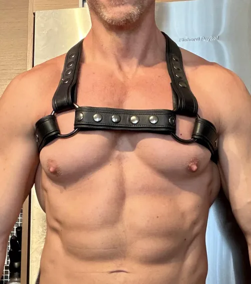 Love the way a leather harness frames my nips.