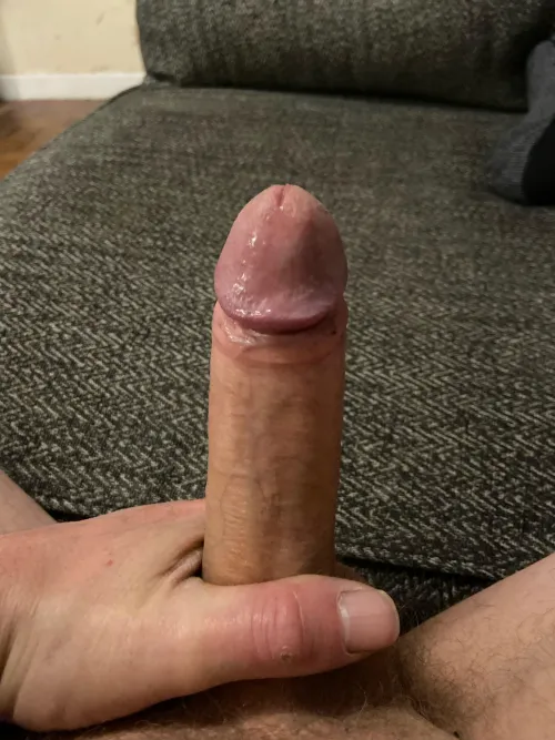 Needs some coon hole 44