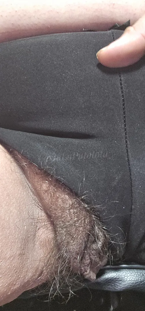 She always sneaks out... even when I try to hide her 