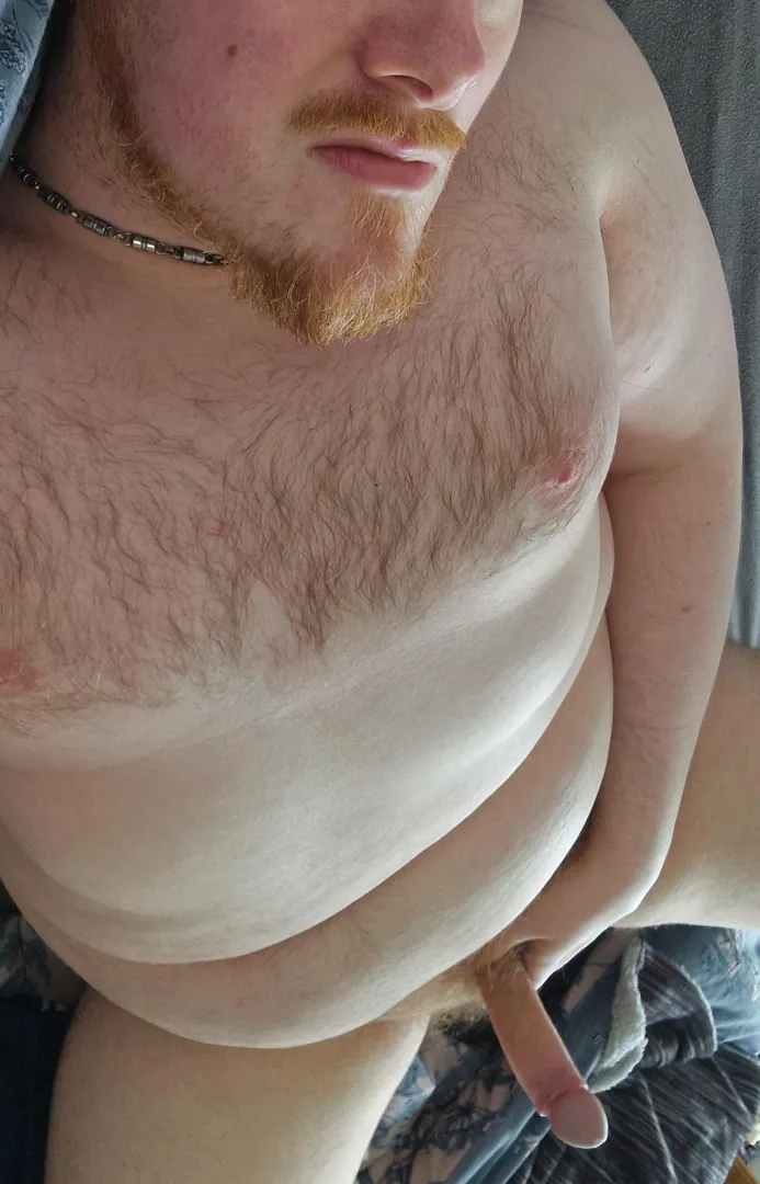 Take a seat [38 Lanarkshire bear]