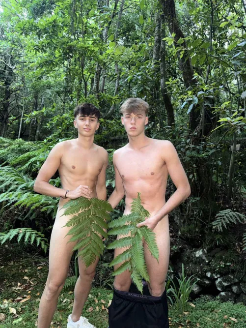 the only thing you'll be able to see