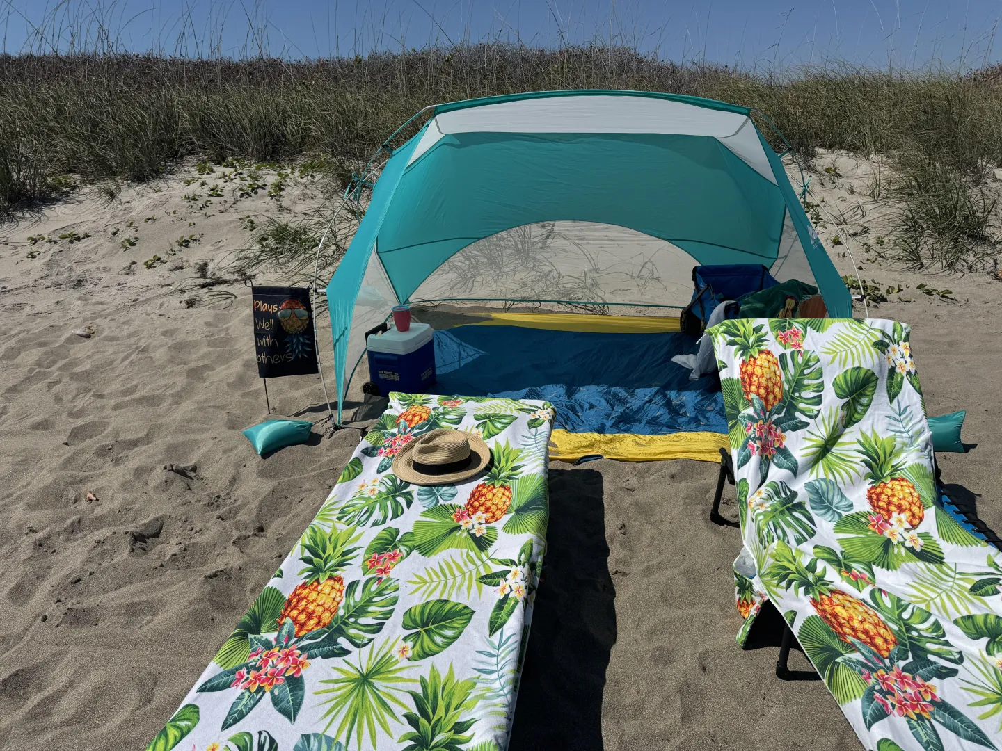 This is us. Stop and say hi.