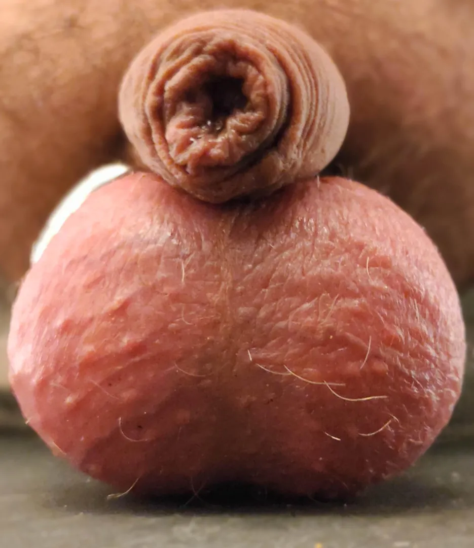 Viens voir de prêt !