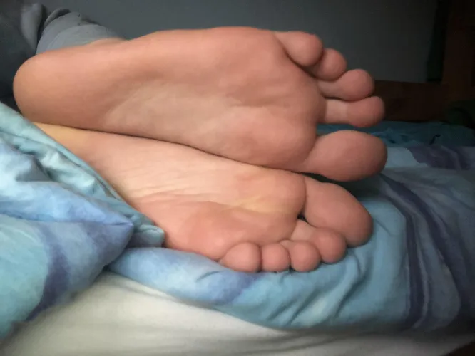 Who wants those paws? >\\\<