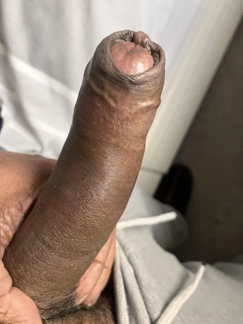 Would anybody suck me, please?