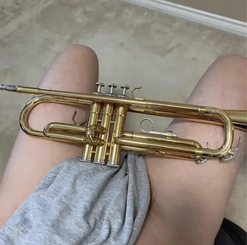 25 any brass musicians hmu for snap lf chat