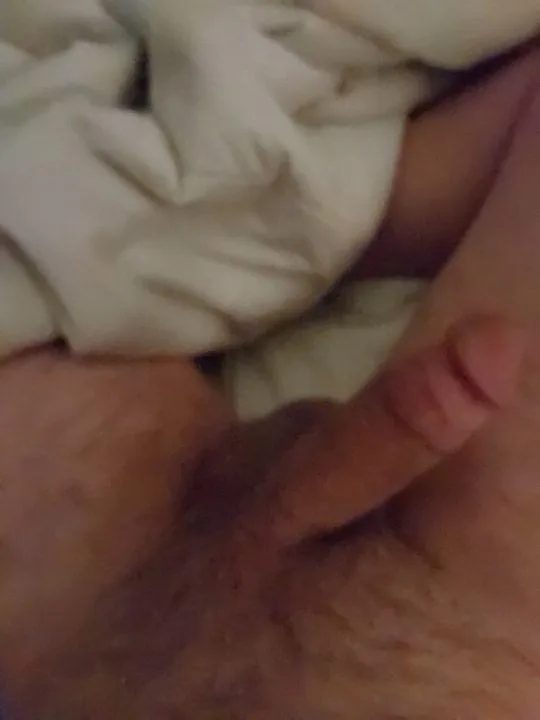 40M4A Bismarck can host.