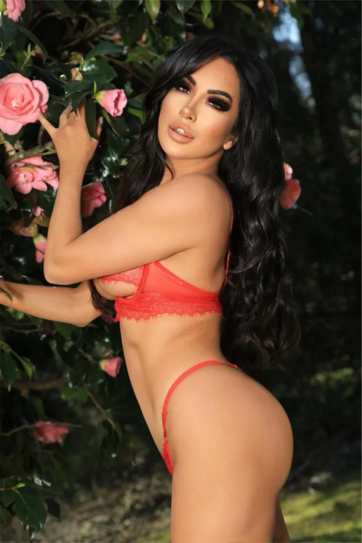 ass needs a face to sit on