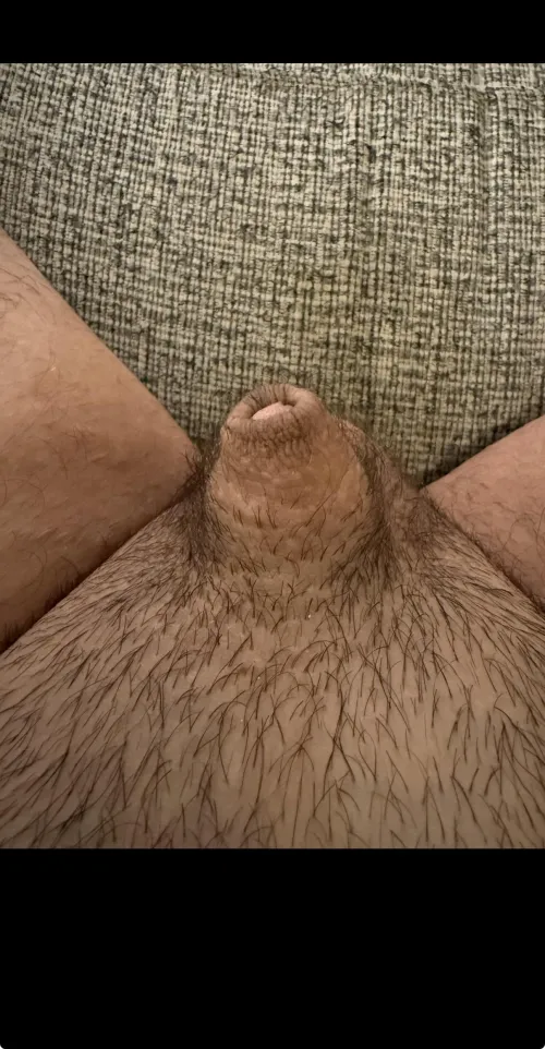 It gets a lot bigger I swear