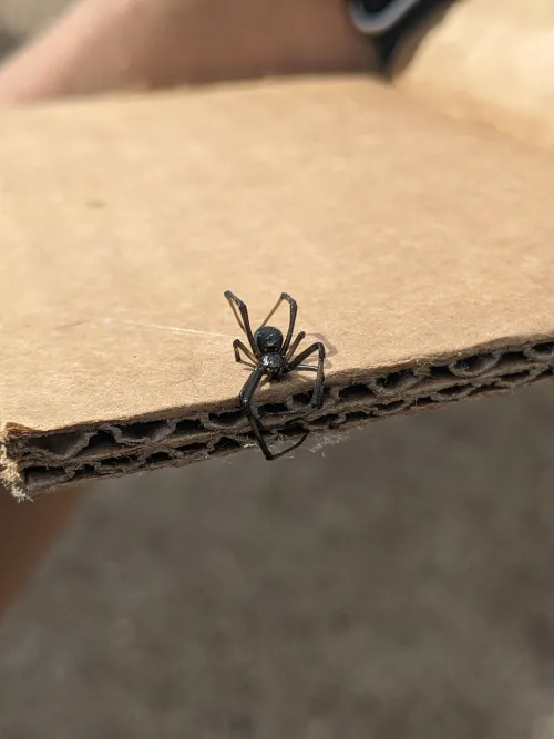 Just want to put out there. I definitely do love chubbier woman.