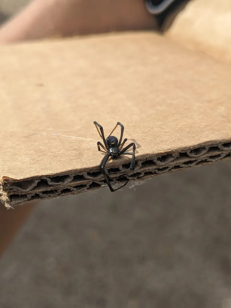 Just want to put out there. I definitely do love chubbier woman.