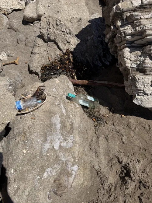 Keep Pirates Cove Clean