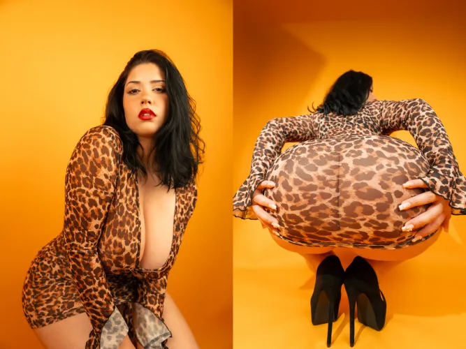 Latinas face and ass cards never decline