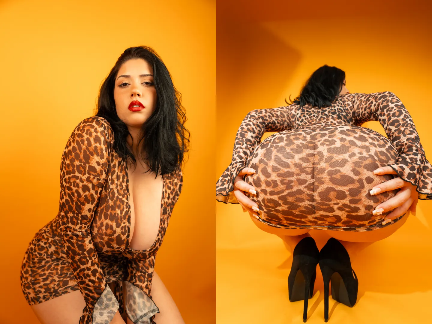 Latinas face and ass cards never decline